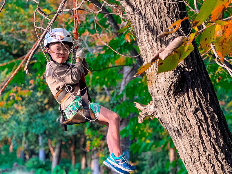 TREE CLIMBING | 木登り